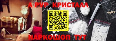 спиды Канаш